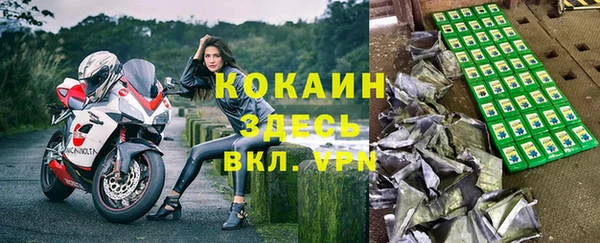 крисы Абаза