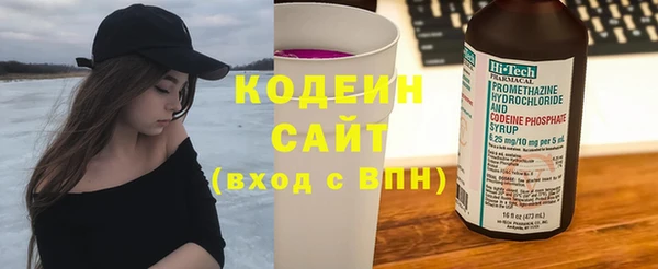 крисы Абаза