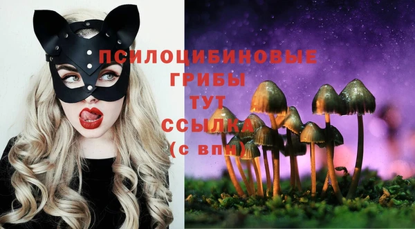 крисы Абаза