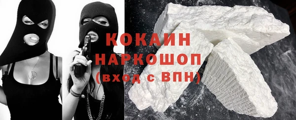 крисы Абаза