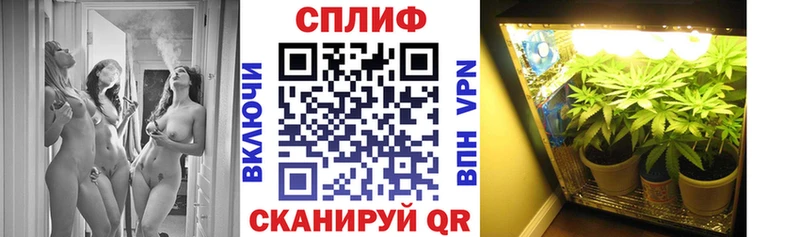 Бошки Шишки сатива  Катайск 